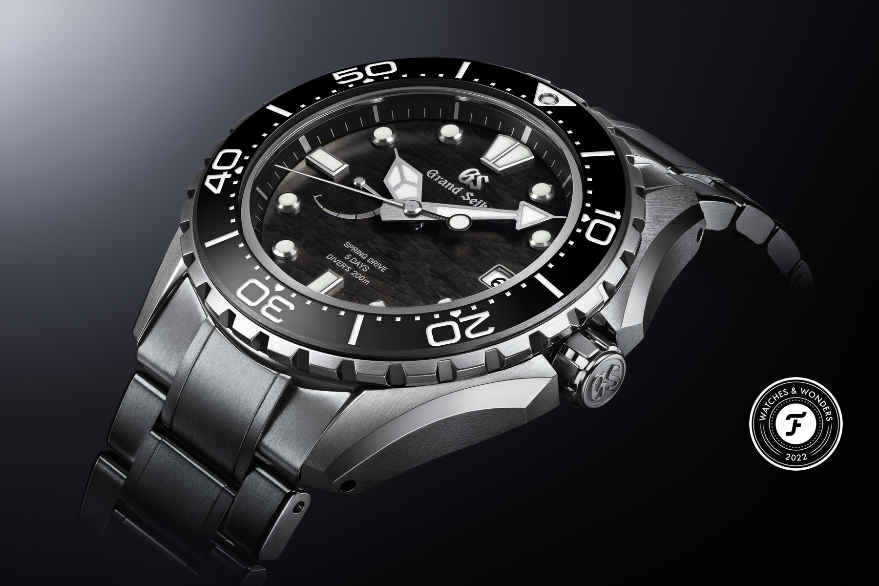 Introducing The Grand Seiko Evolution 9 SLGA015 Diver