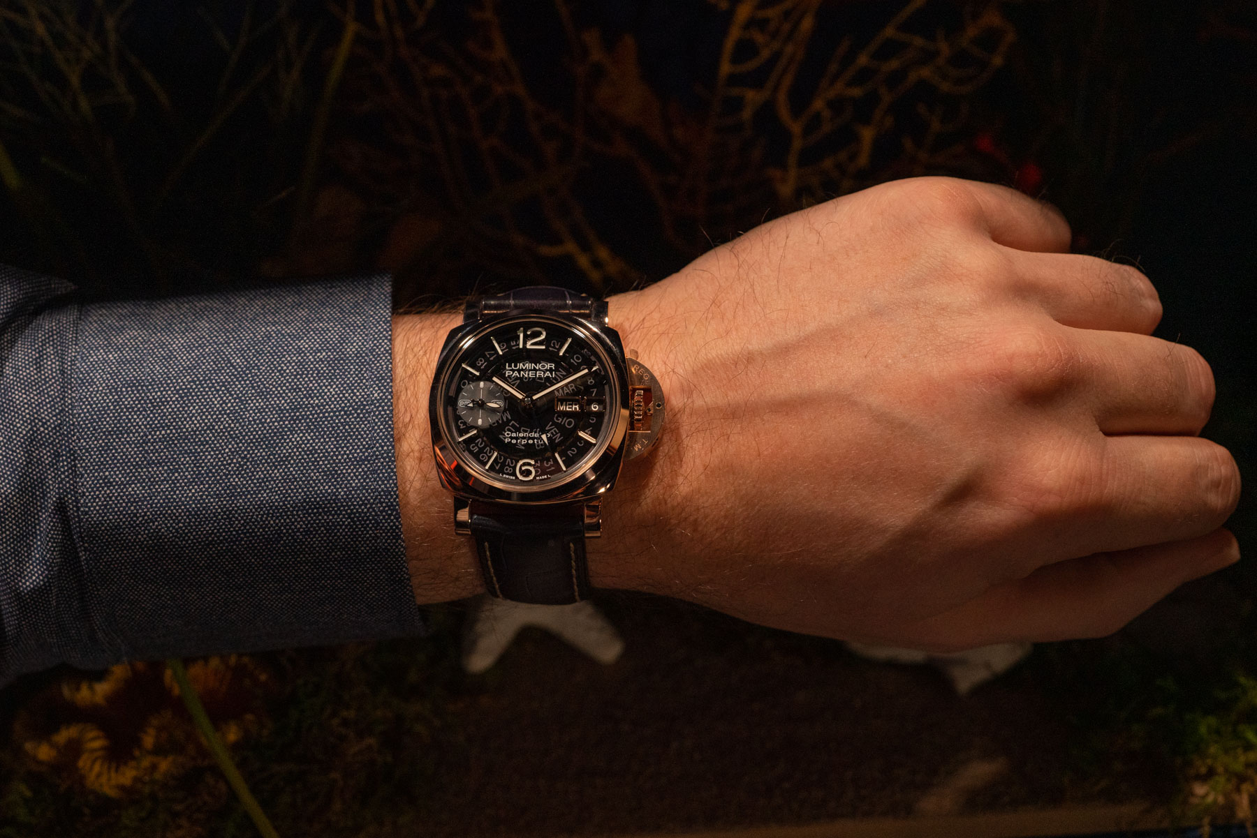 The Panerai Luminor Goldtech Calendario Perpetuo — This One’s For The Fans