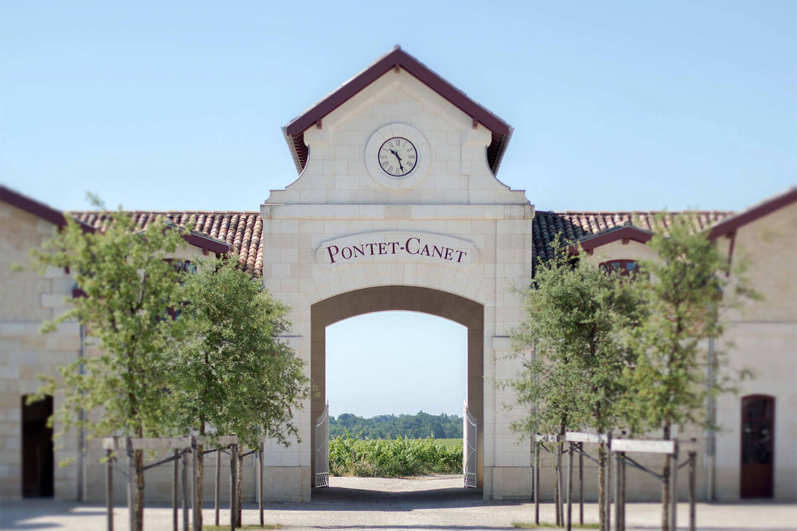 Château Pontet-Canet Bordeaux: A ‘Super Second’ Wine Story