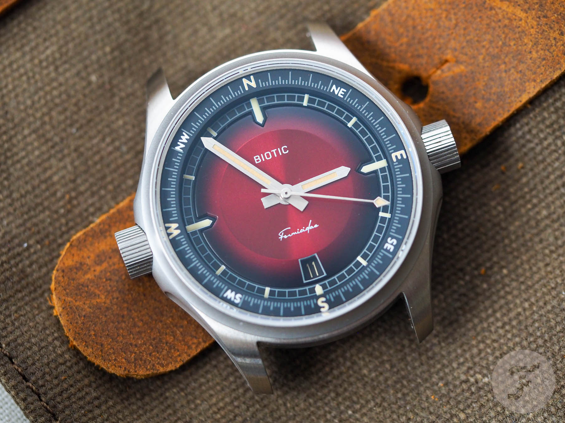 The Biotic Formicidae Field Watch Is Inspired By Ants… Yep… Ants.