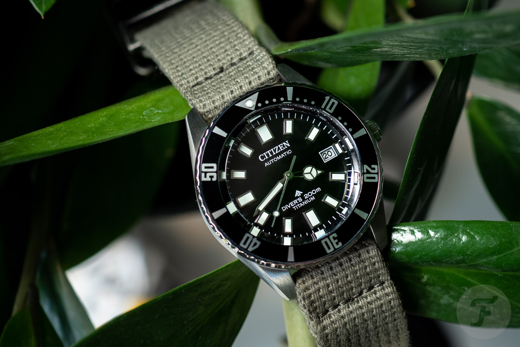 Sunday Morning Showdown: Citizen Promaster Mechanical Diver 200M Vs. Seiko Prospex SPB143