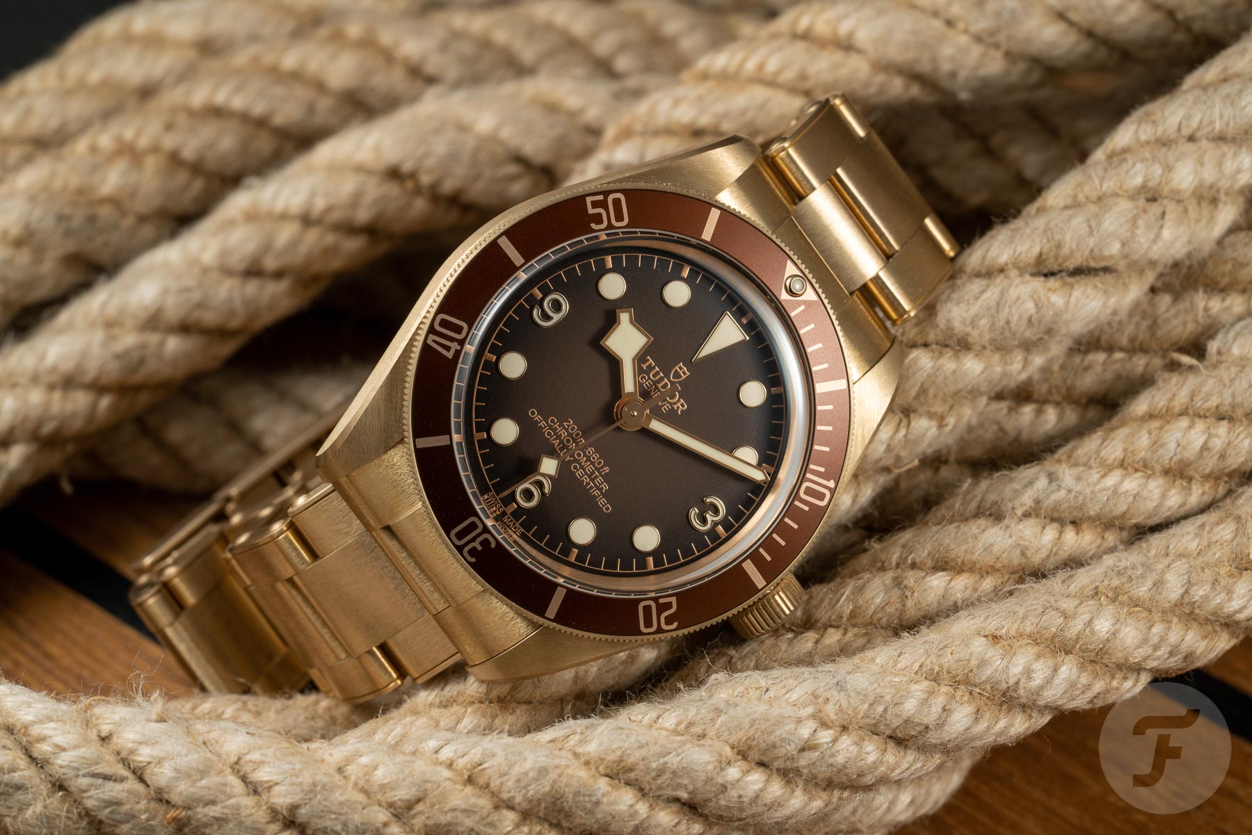 Watches Best Worn In Bronze: Our Picks From Hamilton, Tudor, Oris, Panerai, And Vertex