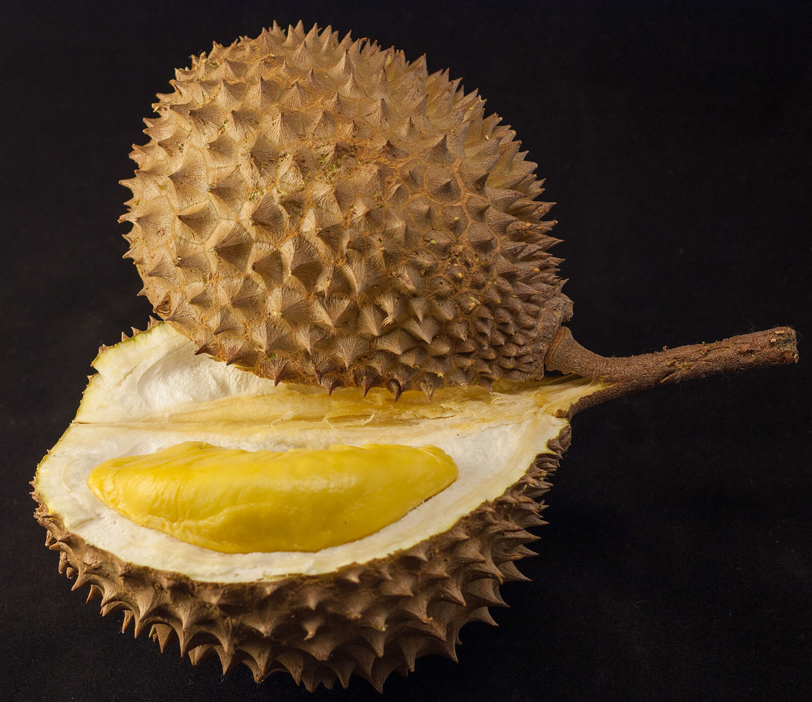 Durian: The King of Fruits – Absolutely Delicious, But The Smell Is Unforgettable (And That’s Putting It Mildly)