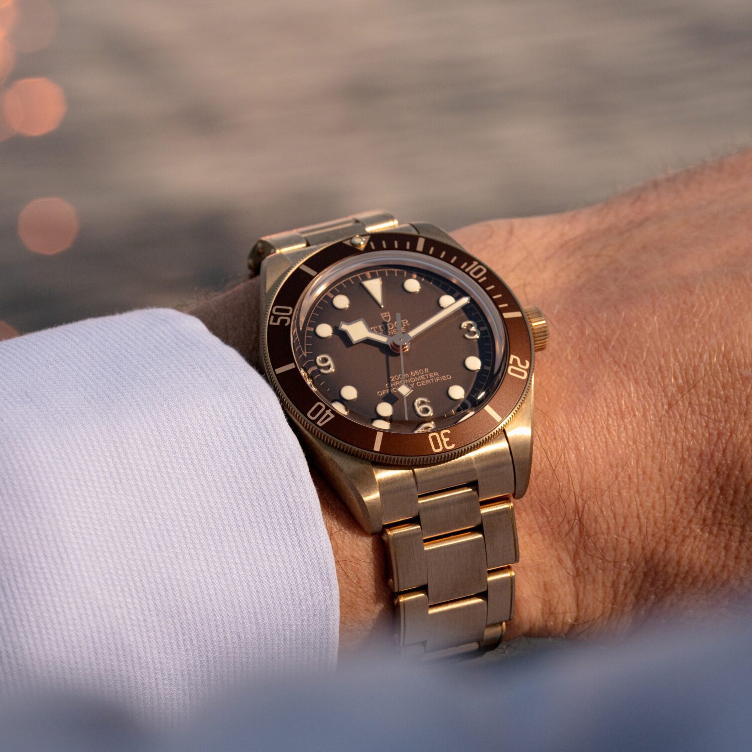 A Tudor Black Bay Bronze 58 became my milestone watch to celebrate taking charge of my mental health