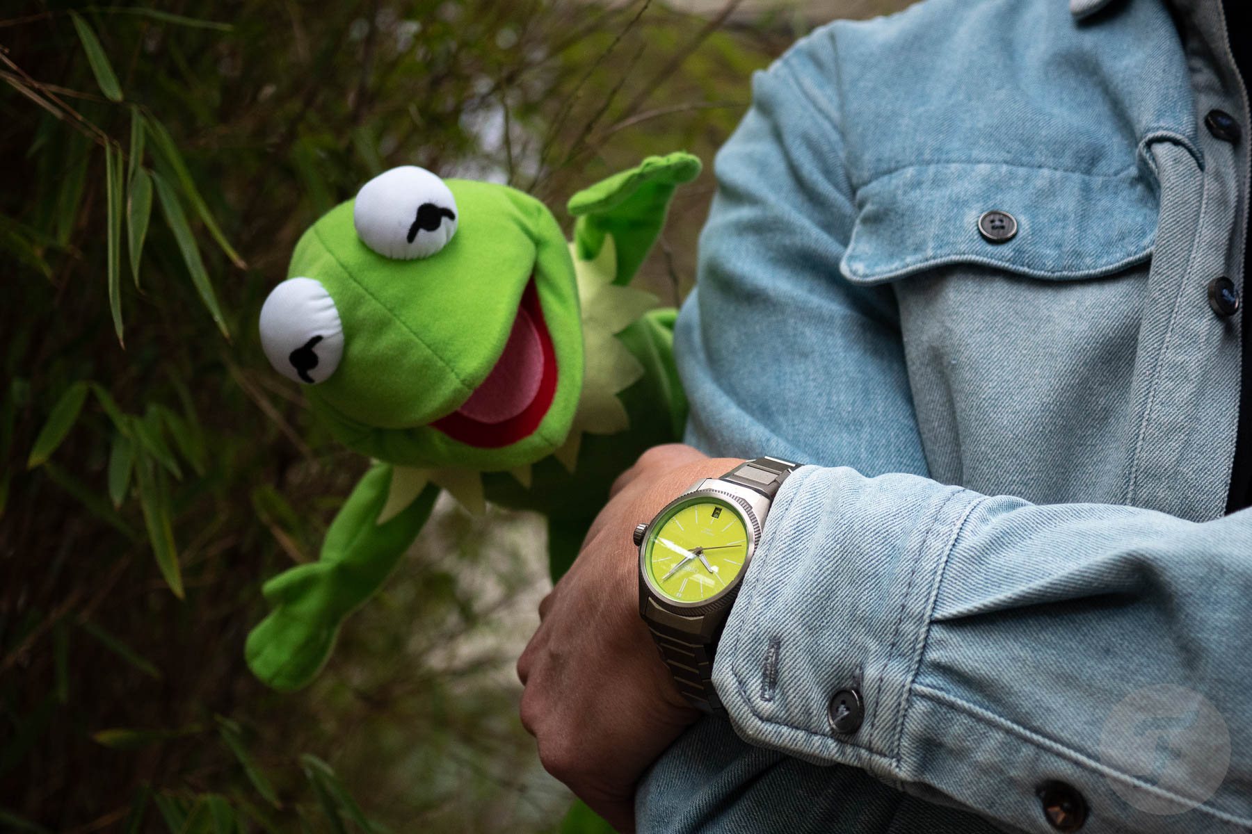 Introducing: Oris ProPilot X Kermit Edition