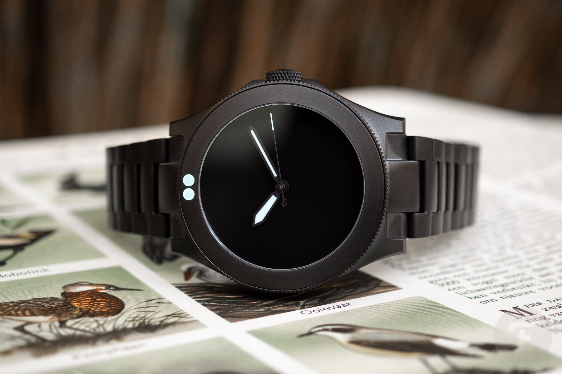 The New Boldr Safari Vogelkop Superb Is Almost As Black As The Bird-Of-Paradise That Inspired It