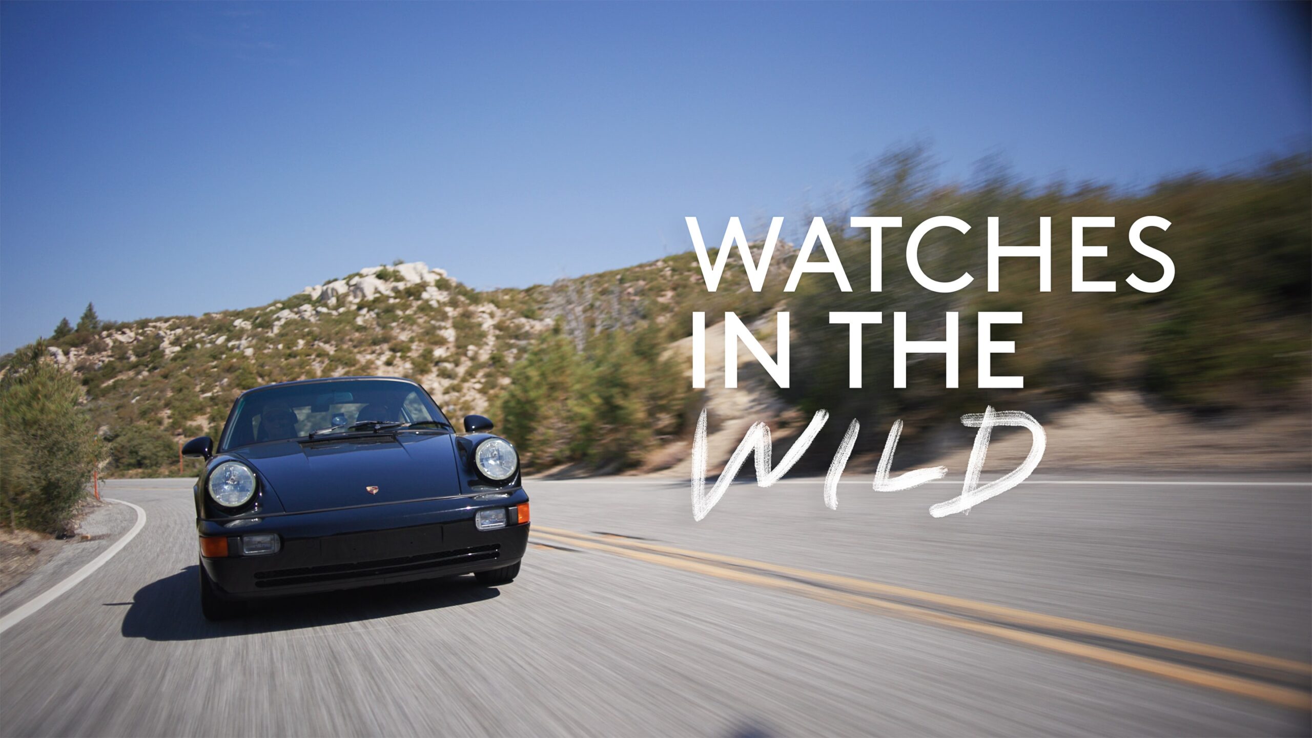 Happenings: Join Us For A  Live Premiere Of ‘Watches In The Wild: Season Three’
