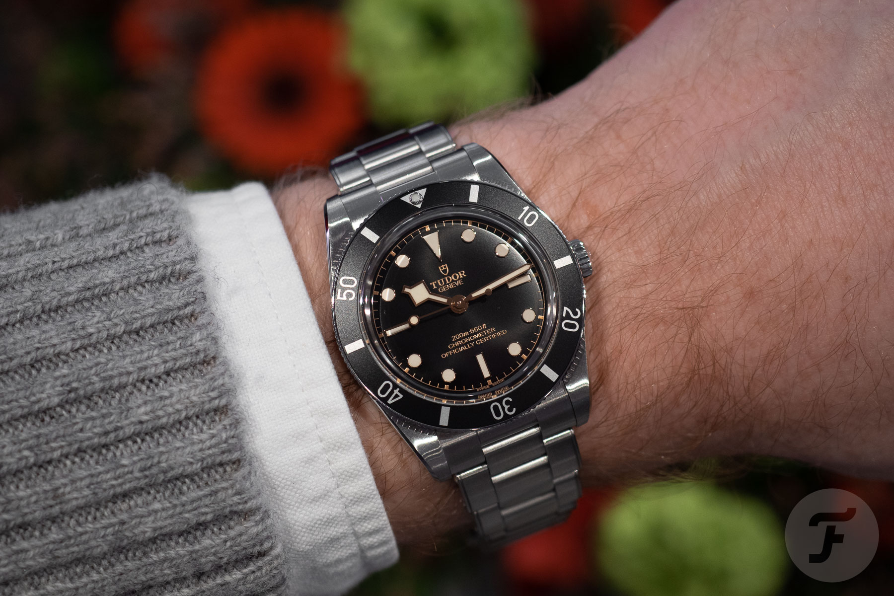 The Black Bay’s Back, Alright! Tudor Launches the New Black Bay 54 and more