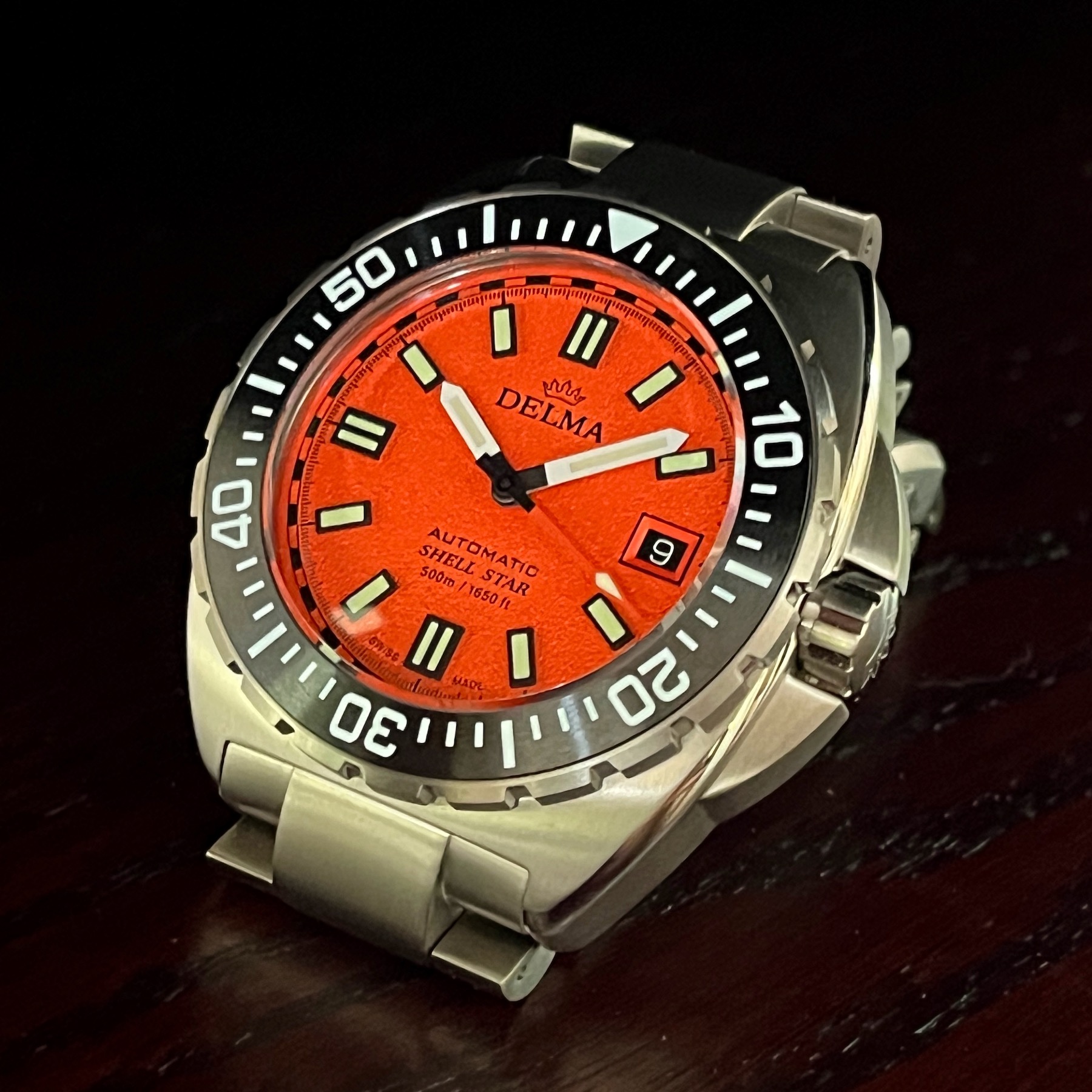 Delma Shell Star Titanium