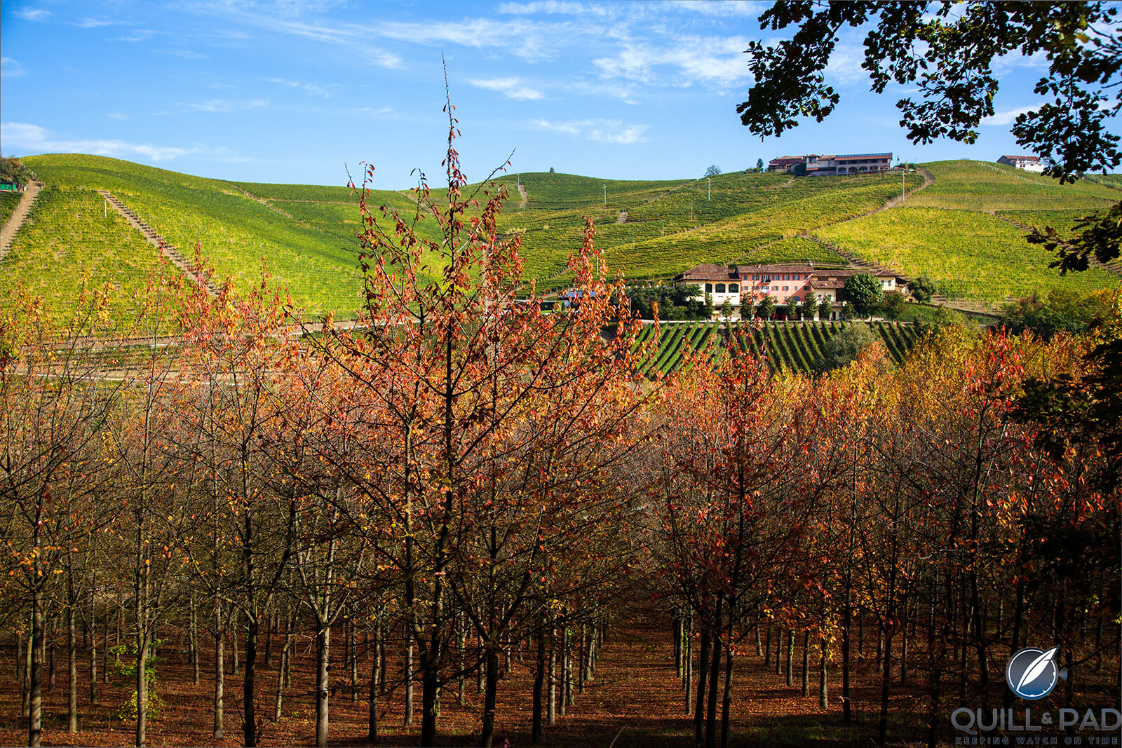 Marchesi di Grésy Italian wines: Rates among Barbaresco’s Greatest Grand Crus