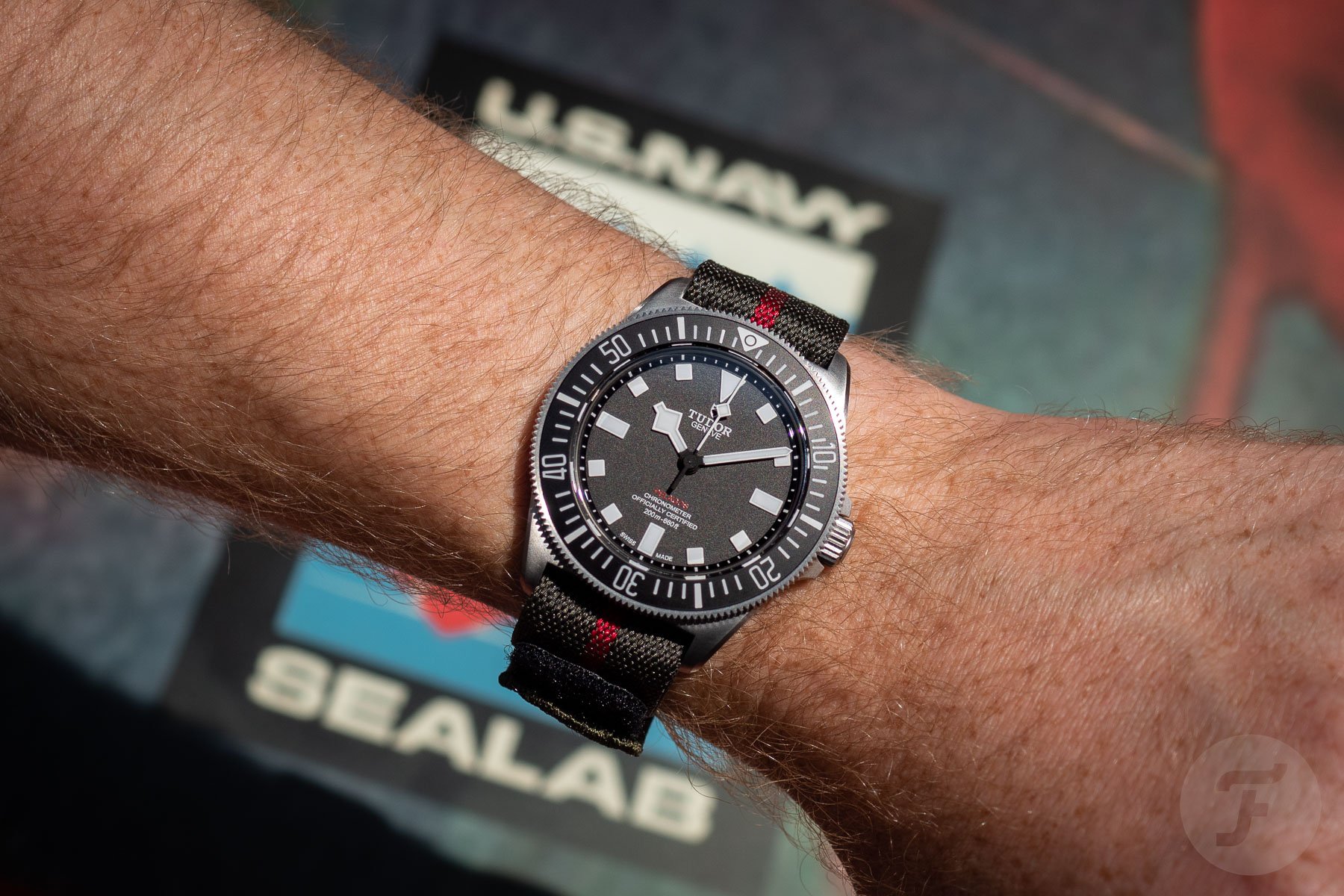 Fratello On Air: Grima Omega, Doxa, The Tudor Pelagos FXD, And The SwatchPain