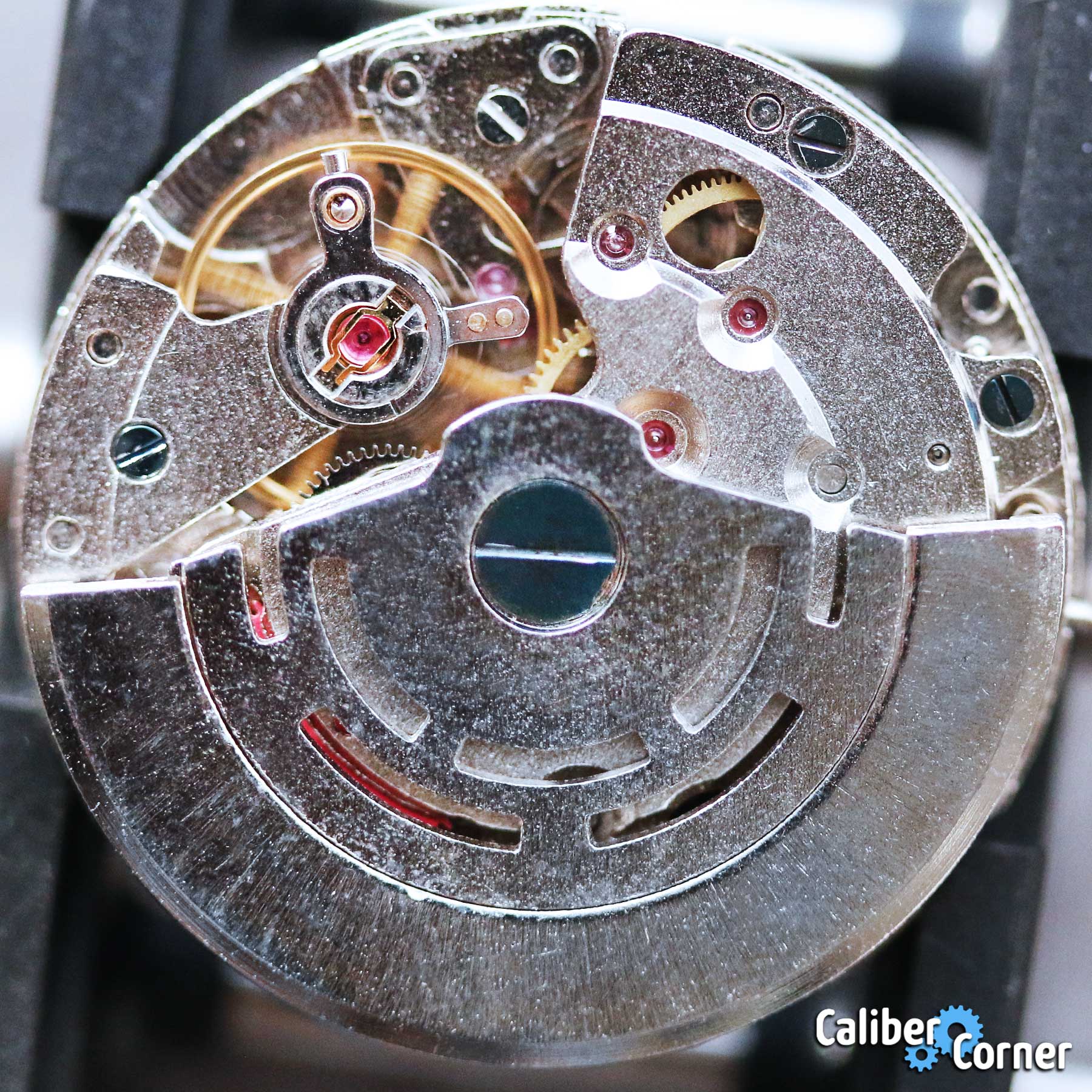 PTS Resources Caliber DG-2813