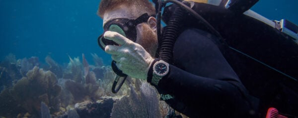 In-Depth – Diving with the Sinn U50, The Smaller Version of THE German Dive Watch