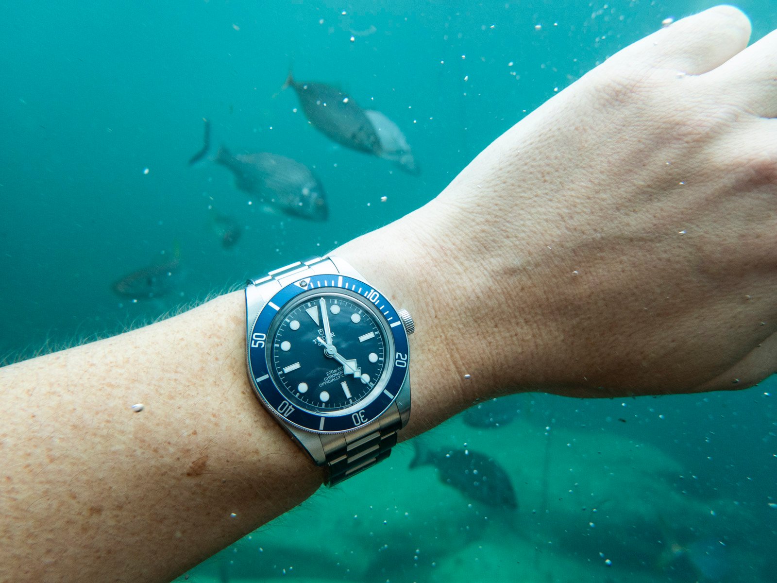 Are Rising Watch Prices Changing The Playing Field For Enthusiasts?