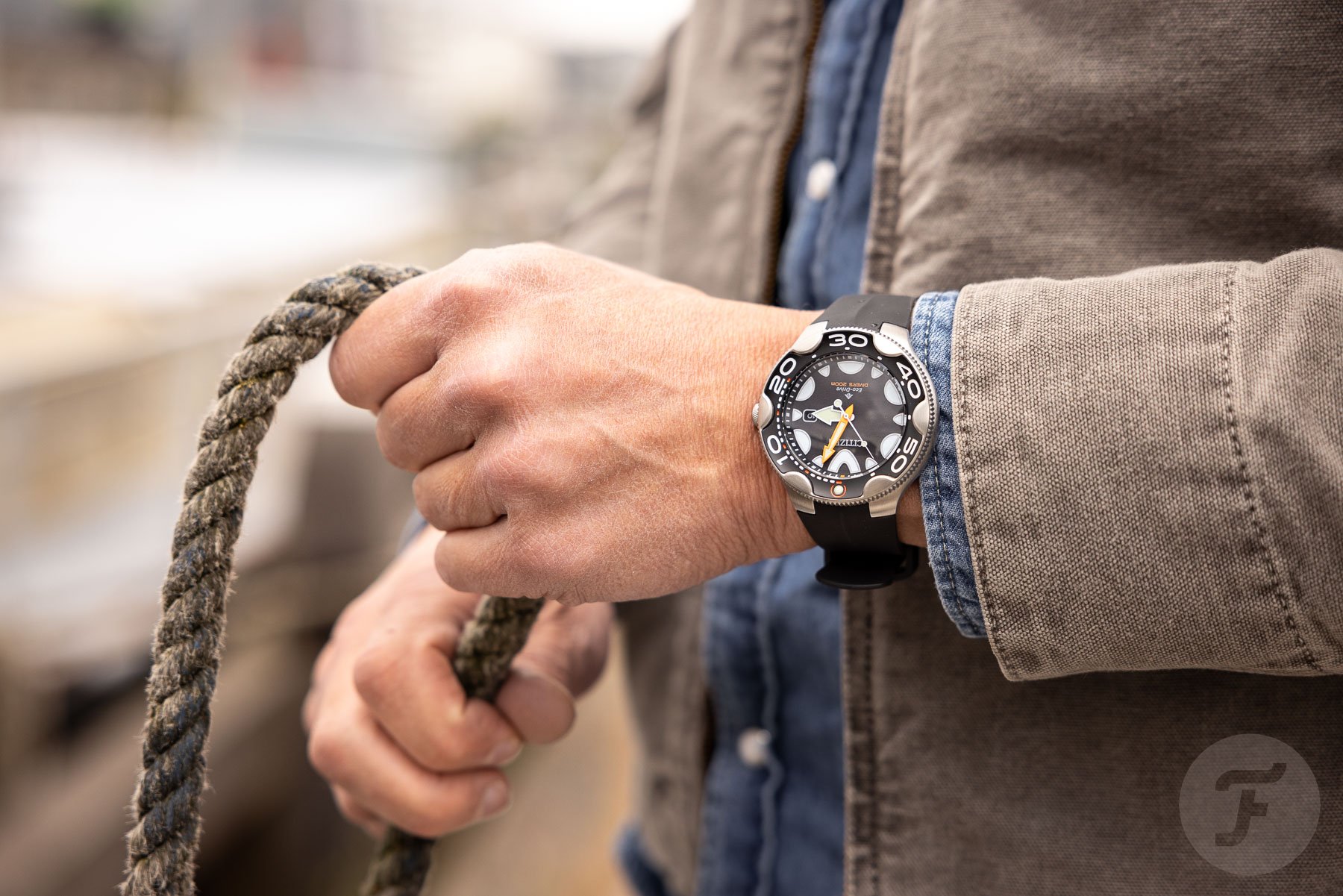 The Citizen Promaster Eco-Drive Diver Orca Beaches On The Shores Of Fratello
