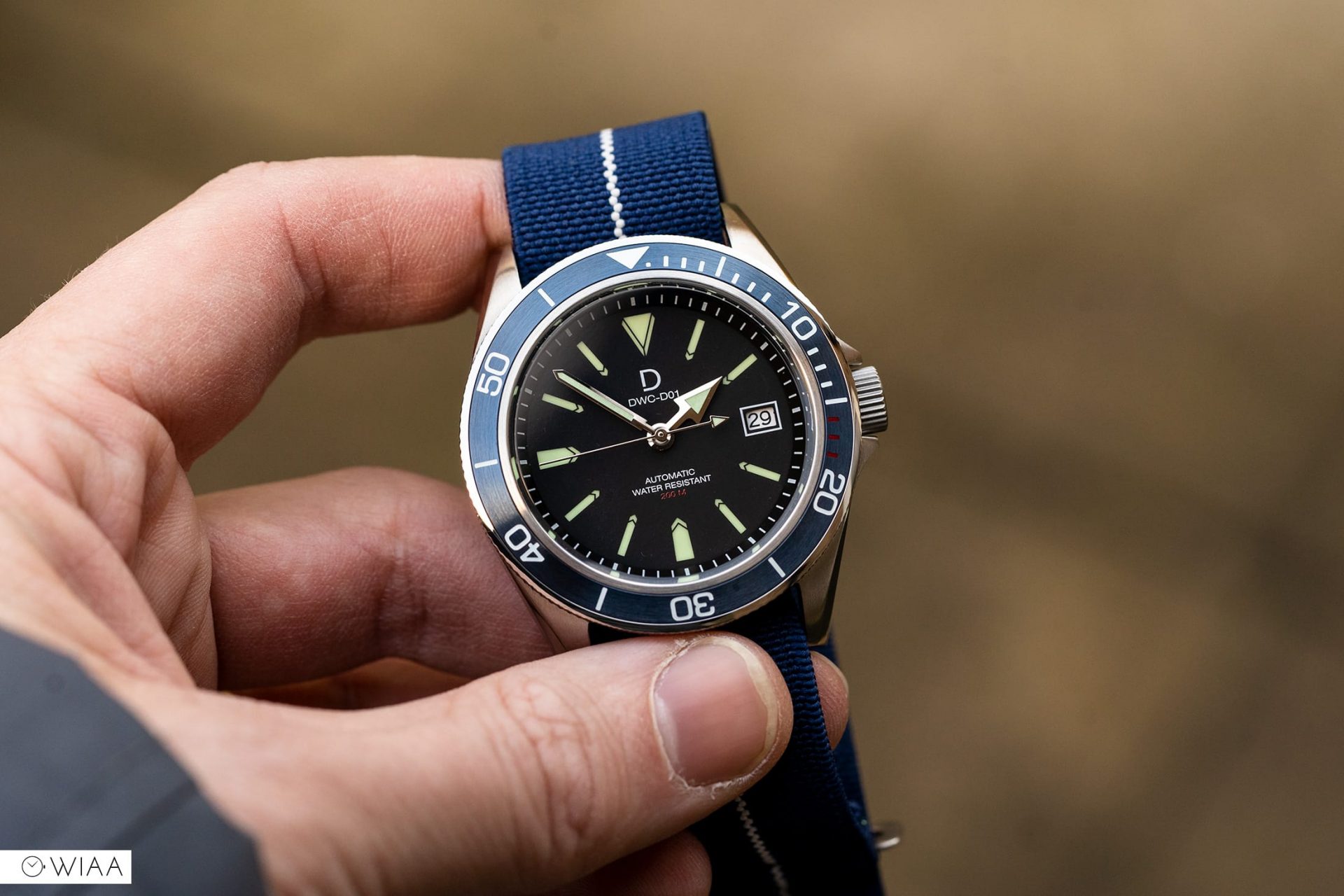DIY Watch Club Vintage Diver Video Review