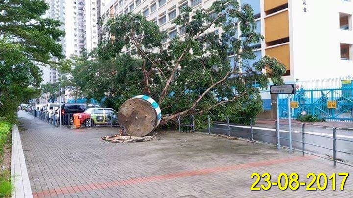 HF.10 in Hong Kong: Here’s What Happened