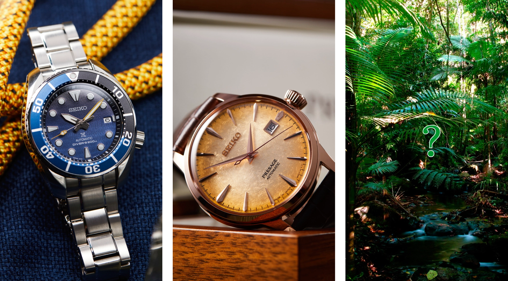 What’s next for Seiko’s Australian limited-edition adventures?