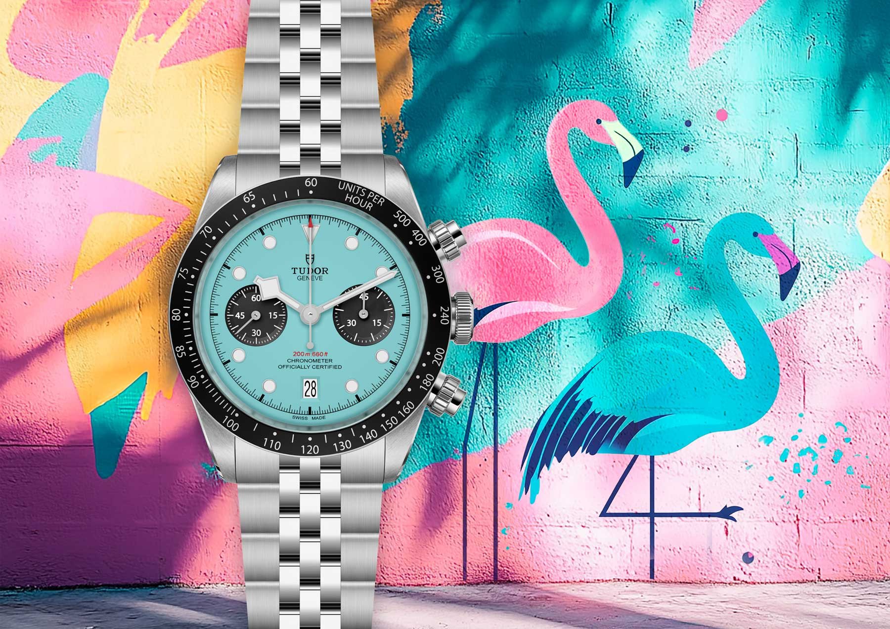 Hot Take: Tudor Presents A “Flamingo Blue” Version Of Its Black Bay Chrono