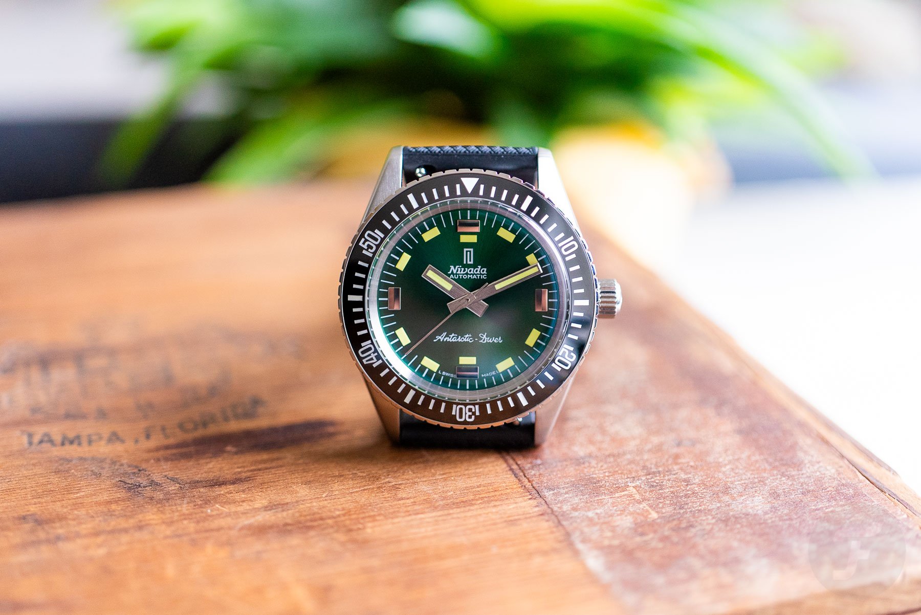 Hands-On: The New Nivada Grenchen Antarctic Diver Green