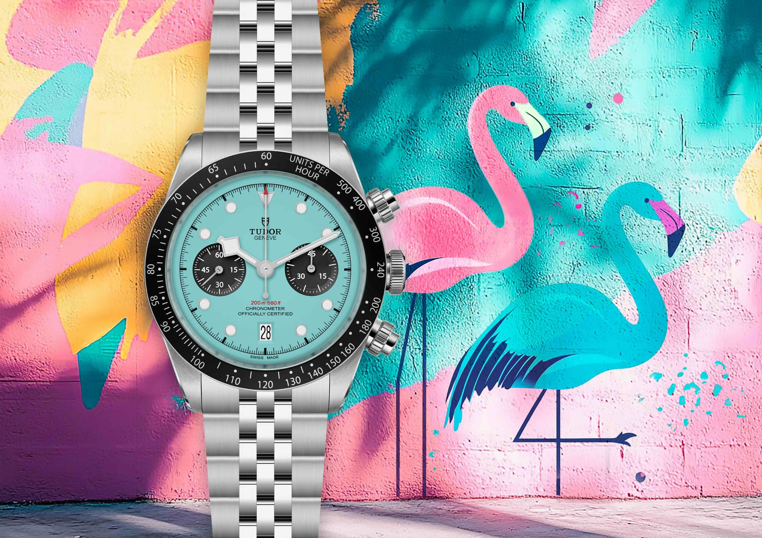 Color for the Wrist: Tudor Surprises with Black Bay Chrono “Flamingo Blue”