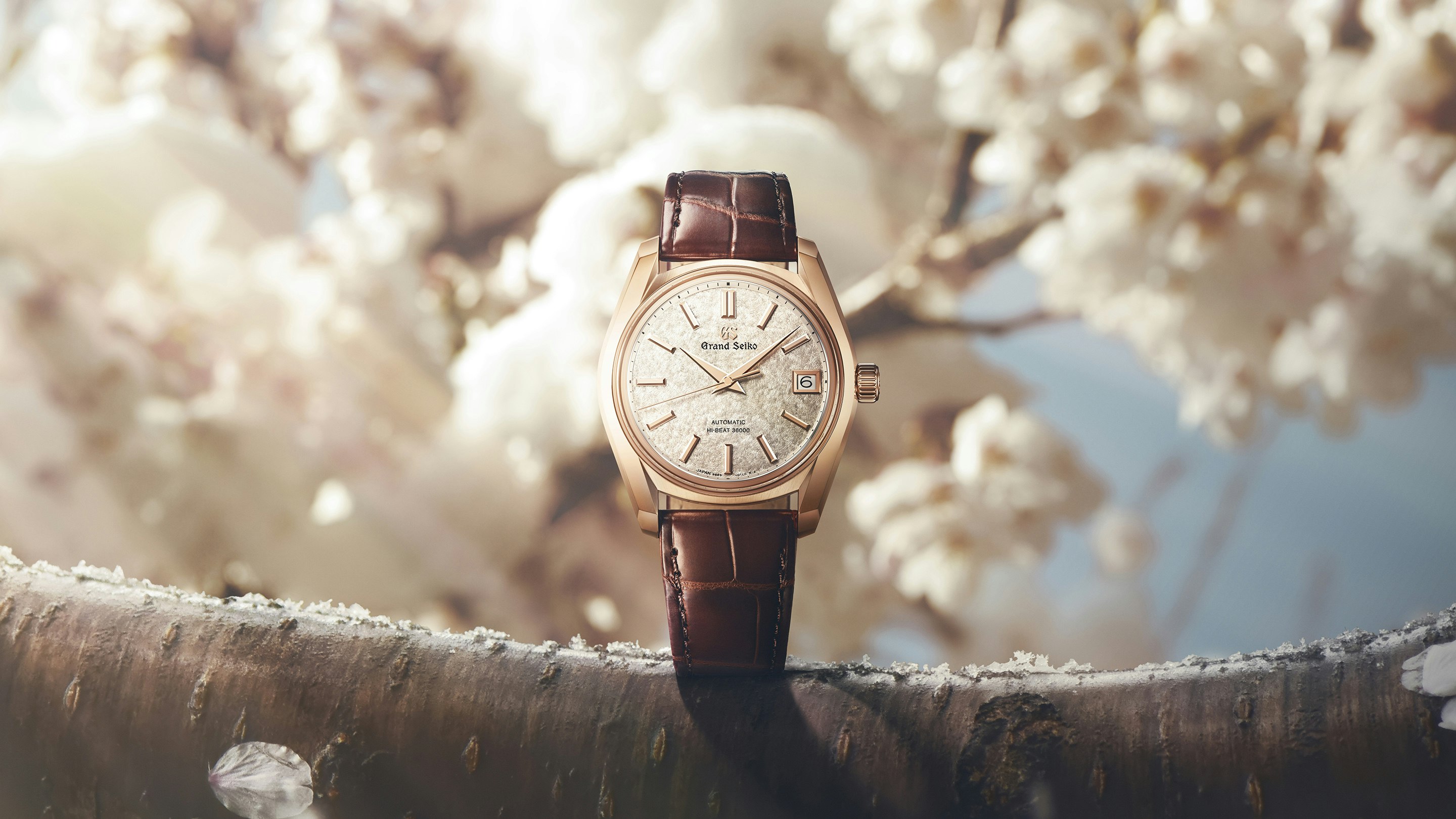Introducing: Cherry Blossoms Return With The Grand Seiko SBGH368
