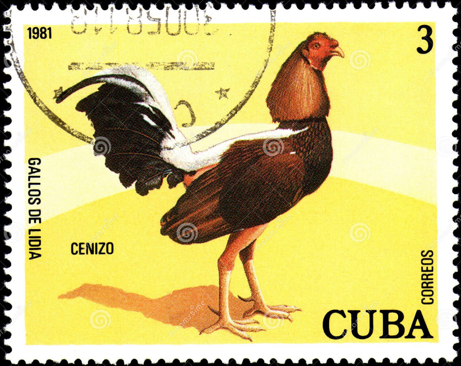 Cockfighting in Cuba: Visiting the Island’s Darker Side