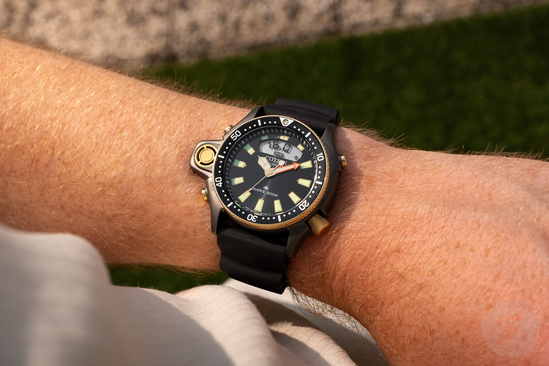 Fratello Summer Watch Picks 2025: Nacho’s Favorites From Citizen, Doxa, And Baltic