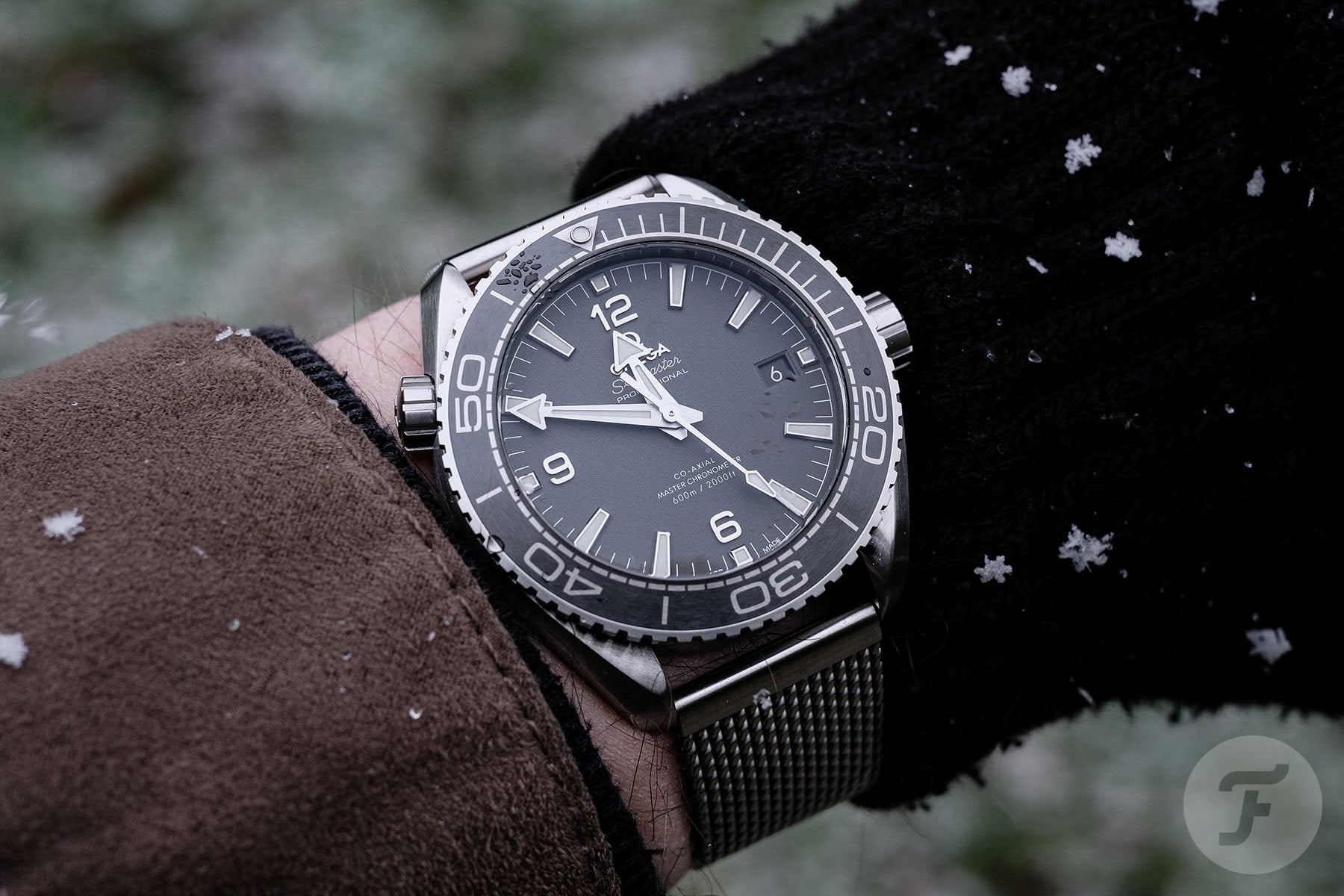 Why I Bought A Third-Generation Omega Seamaster Planet Ocean 600M Over The New Version