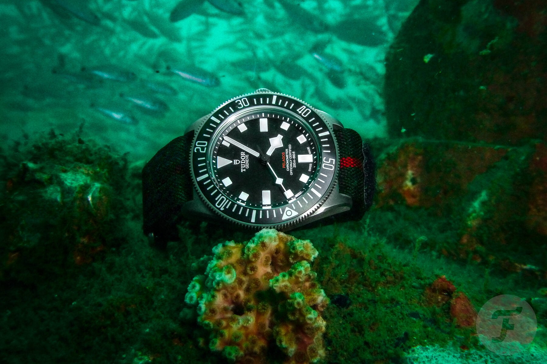 Fratello Talks: Understanding Water Resistance