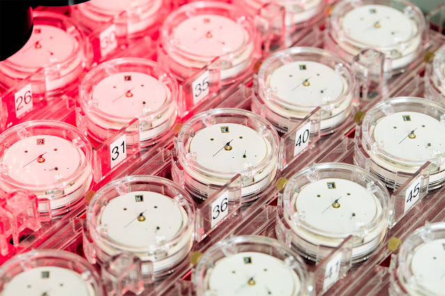 COSC Excellence Chronometer: new two-tier certification launching in 2026