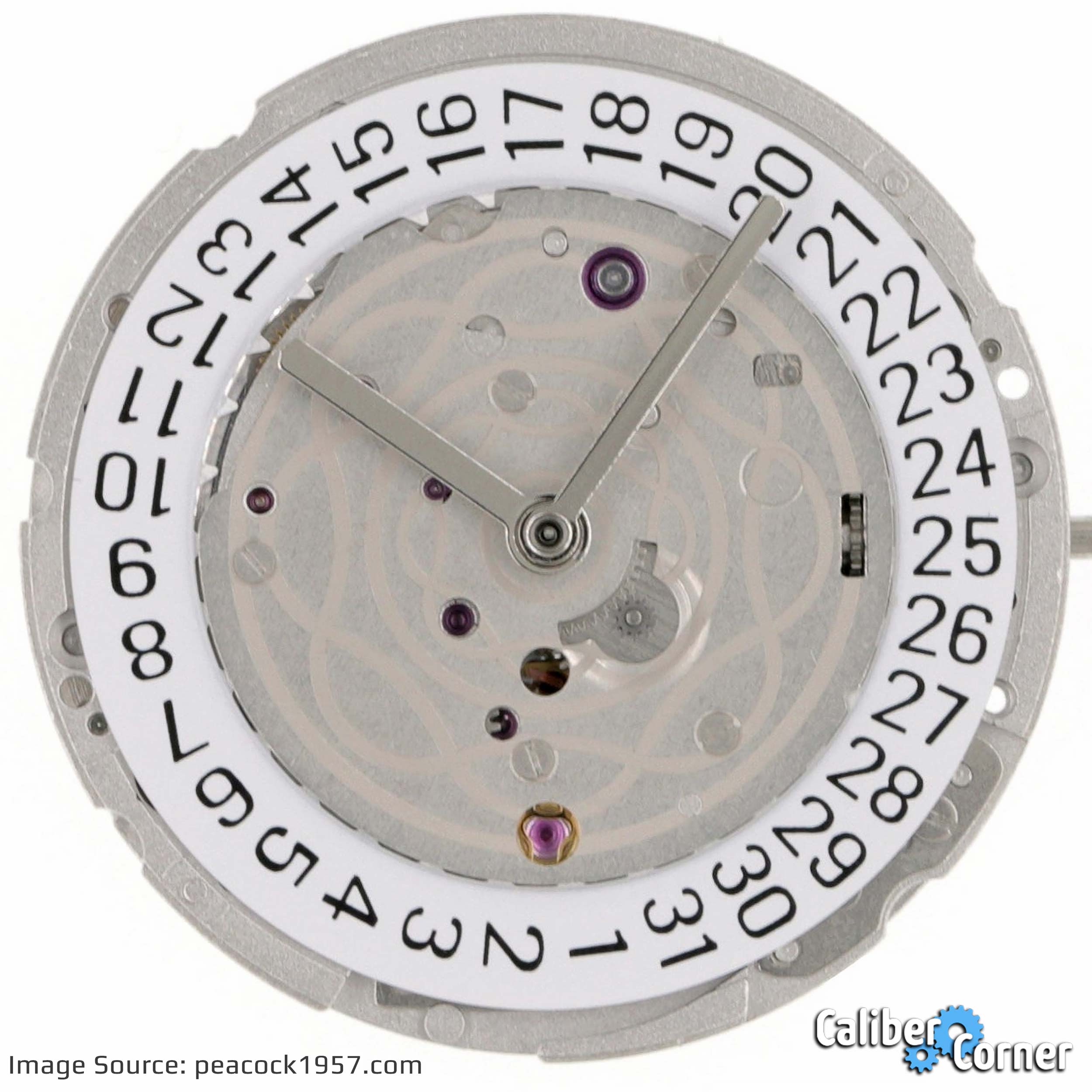 Peacock Caliber SL1632