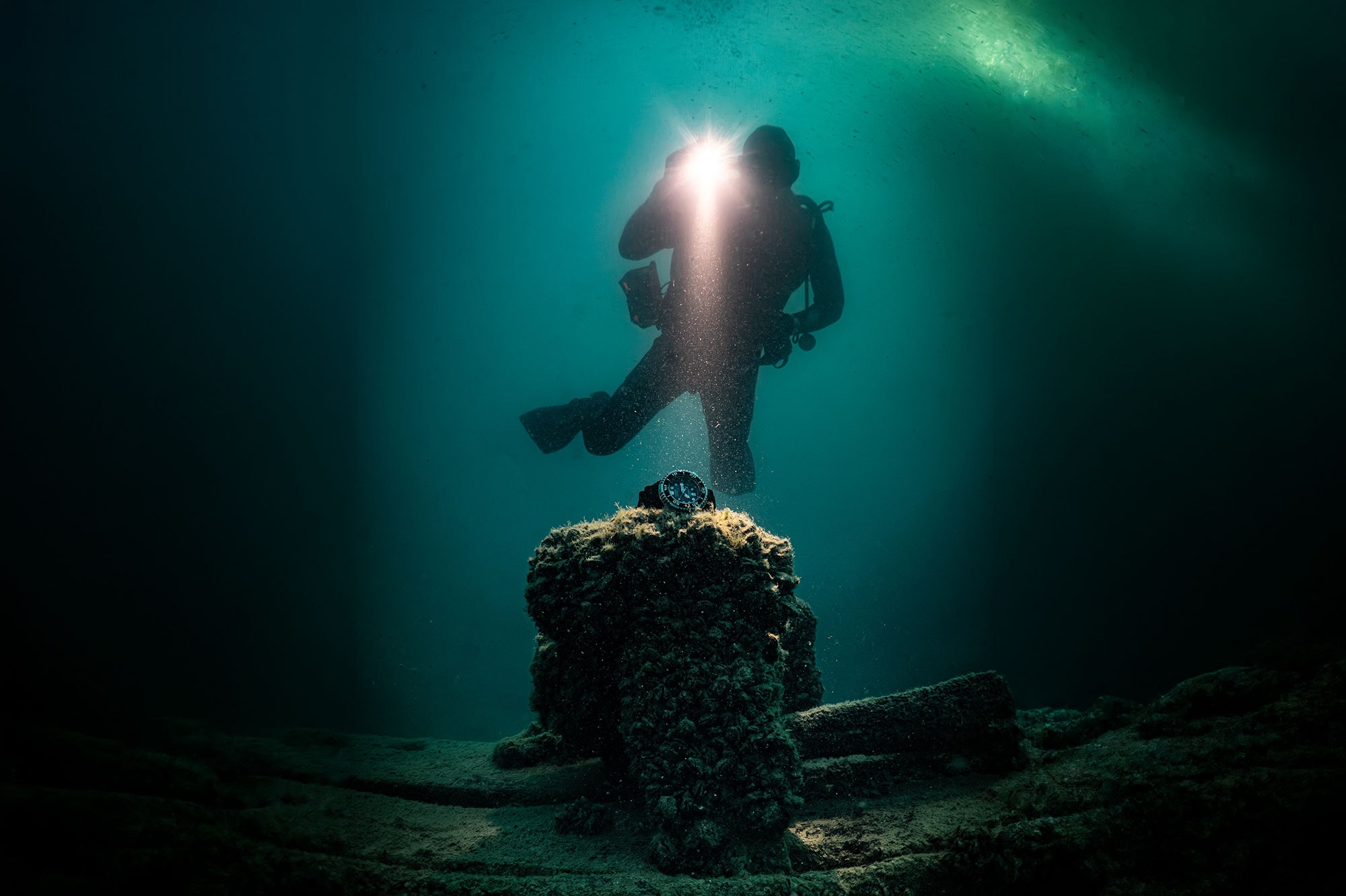 Windup in a Lake 2026: Celebrating Fifty Years of Citizen Eco-Drive Innovation and One Unforgettable Recovery Mission