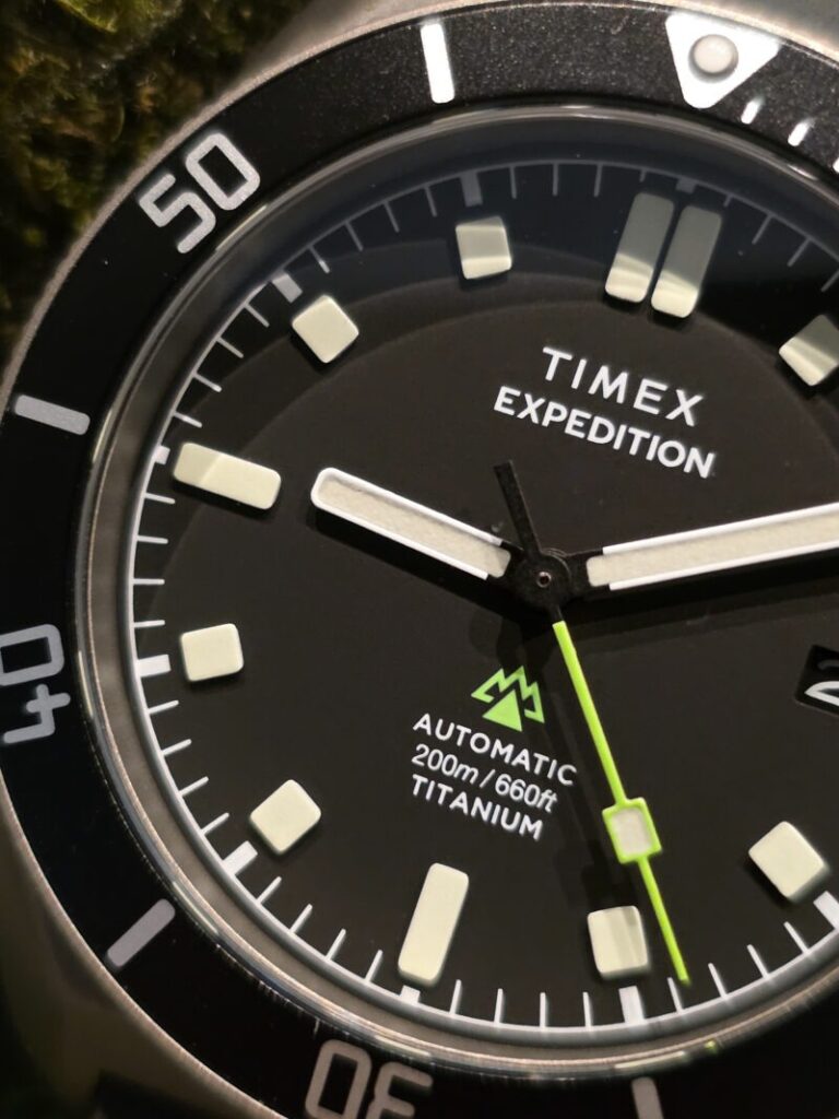 Timex Expedition Pioneer